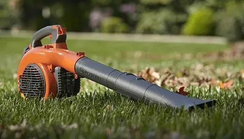 cordless blowers Brisbane