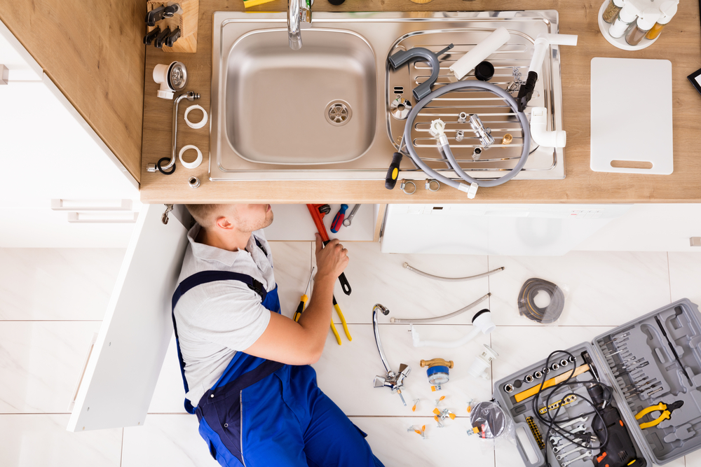 Plumber Bellavista