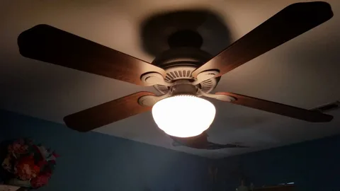 Ceiling Fan Shop Sydney