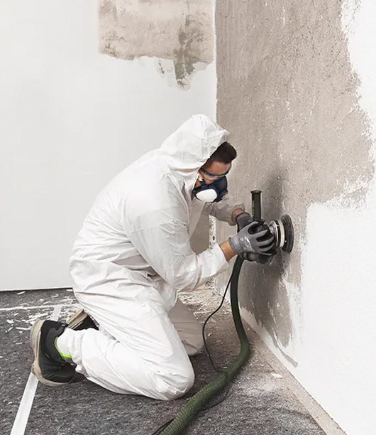 fast mould removal Sydney