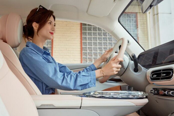 Chauffeurs Perth