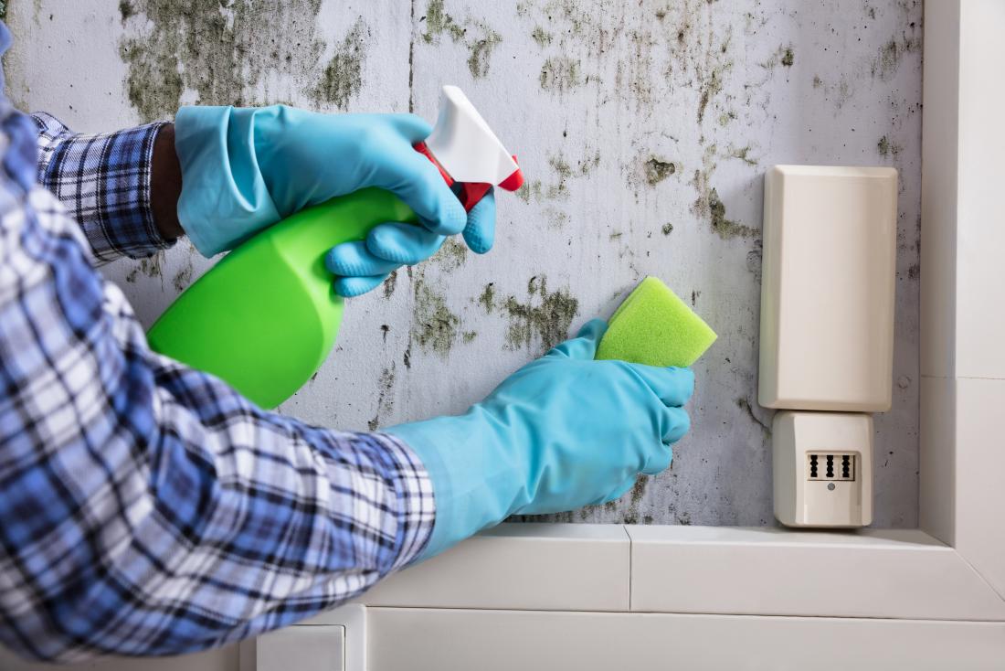 Sydney Mould Prevention