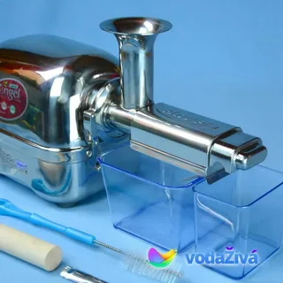 angel juicer 5500