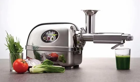 Angel Juice Extractor